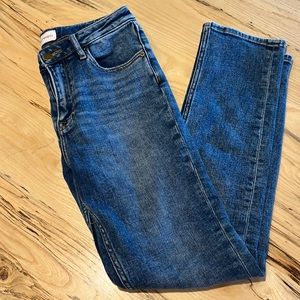 Driftwood Jeans (Sundance Catalog) Audrey Straight Toujours